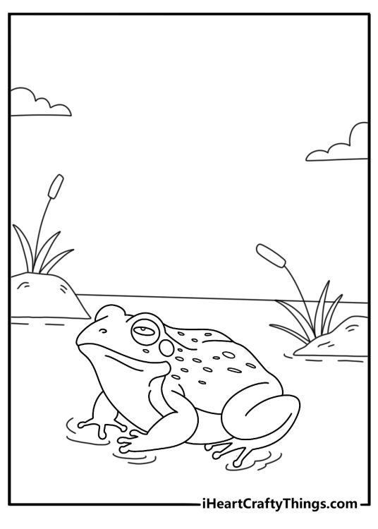 Detailed frog coloring page with a bullfrog among cattails