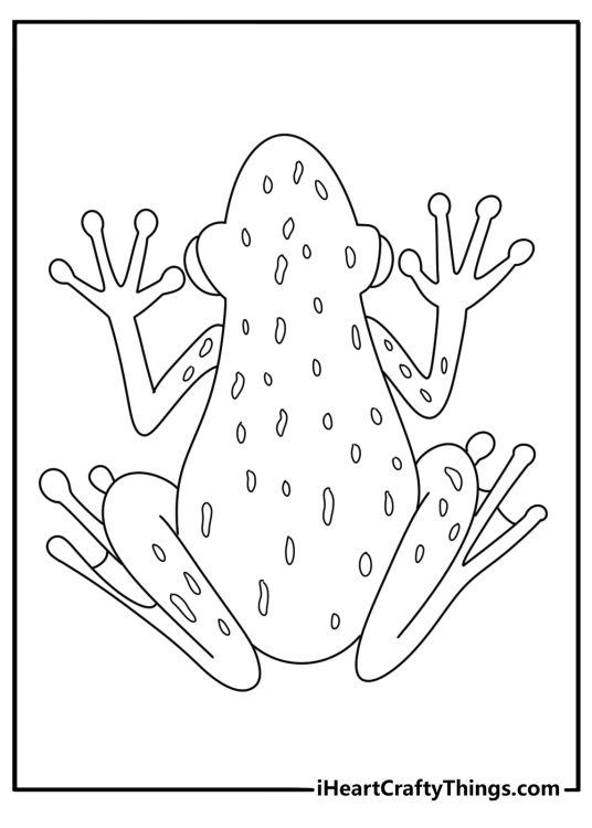 Detailed frog coloring sheet for adults with patterned spots inside a frog shape
