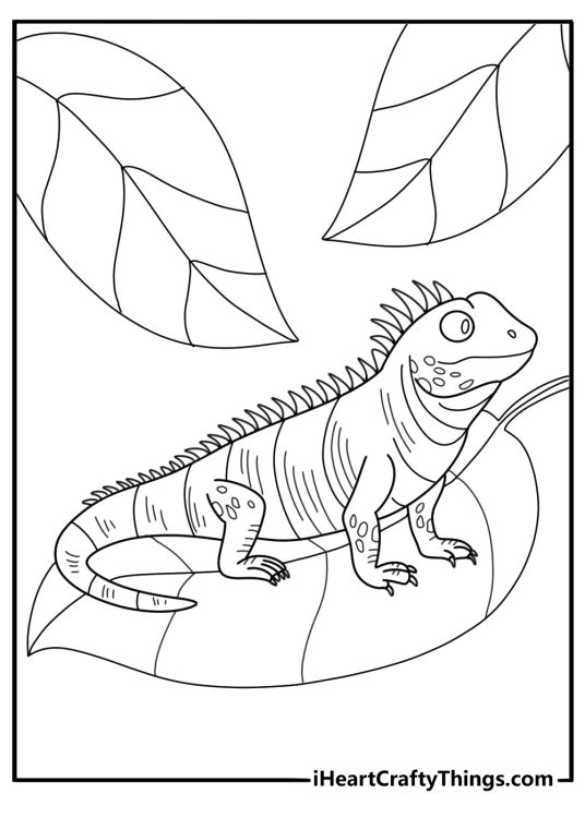Detailed iguana coloring sheet resting on tropical leaf for adults