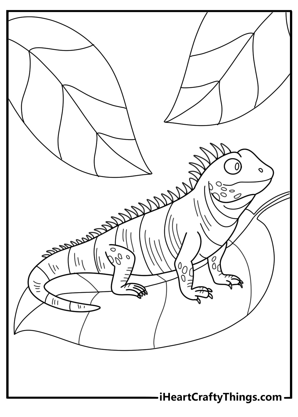 Detailed iguana coloring sheet resting on tropical leaf for adults