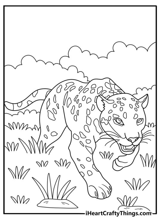 Detailed jaguar coloring page with animal stalking prey through grass