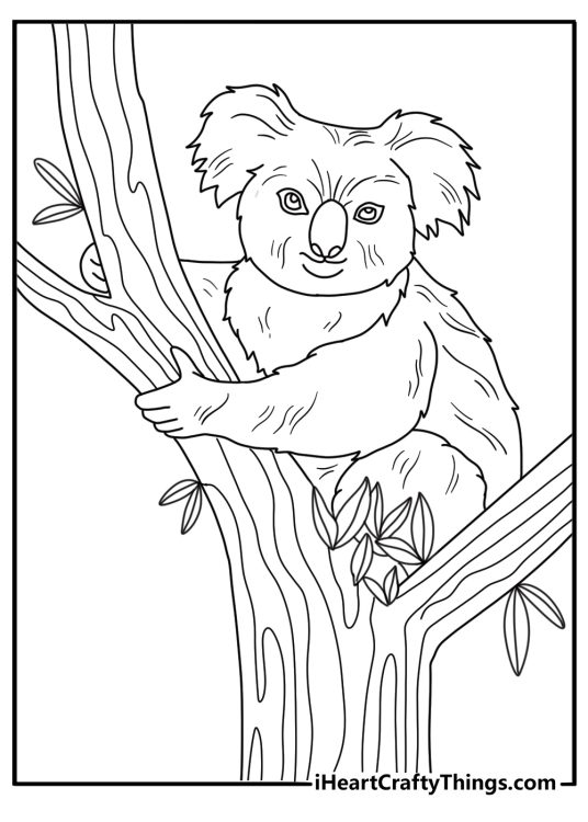 Detailed koala coloring page with textured fur and tall eucalyptus grove