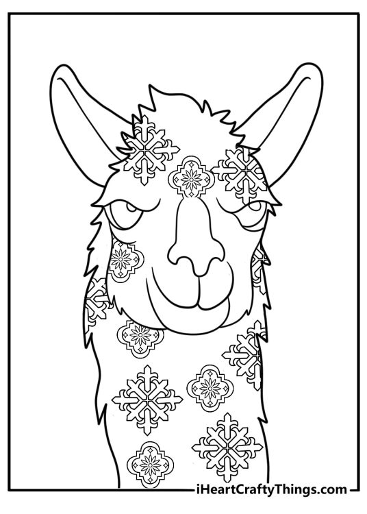 Detailed llama head coloring page with tribal textile patterns for adults