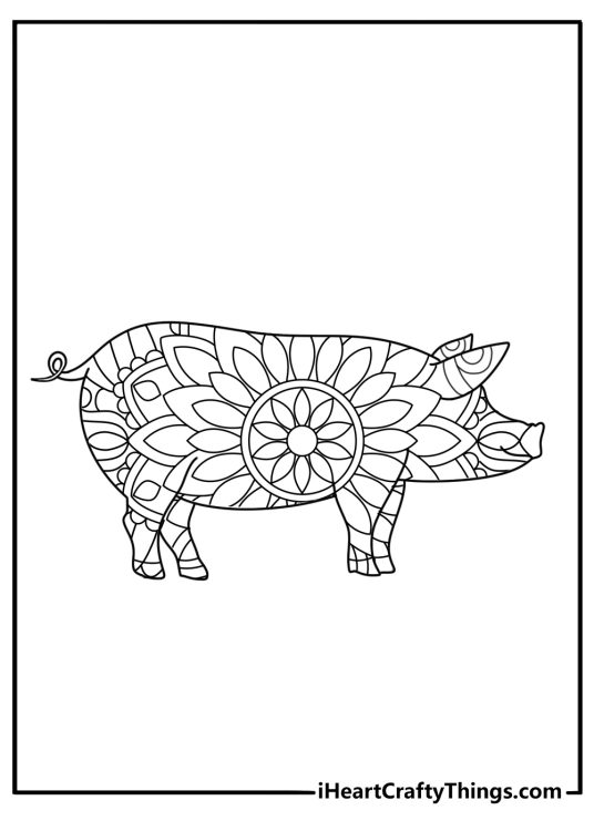 Detailed mandala pig design for adults coloring page