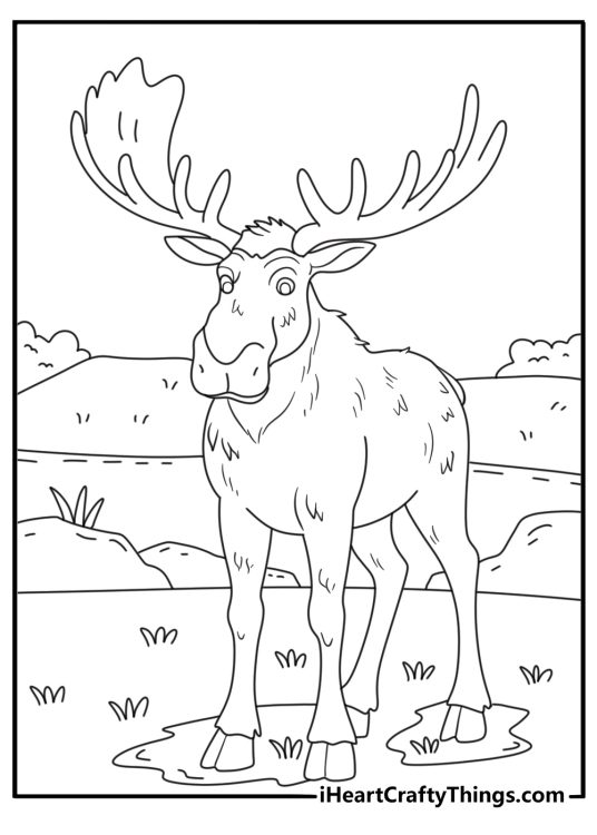Detailed moose coloring page showing a bull with wet fur after swimming