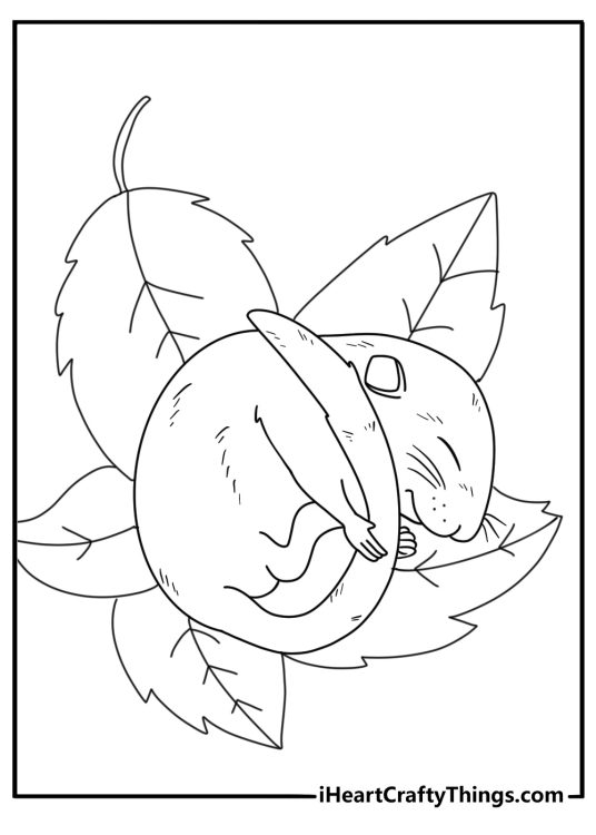 Detailed mouse coloring page with a dormouse curled inside leaves