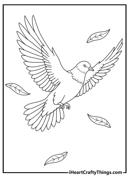 Detailed peace coloring page for adults with doves and flowing leaves