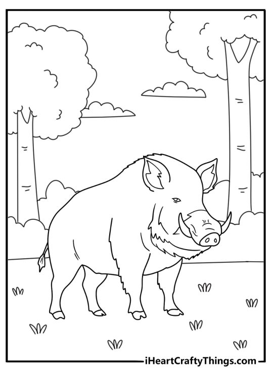 Detailed wild boar pig in forest clearing adult coloring page