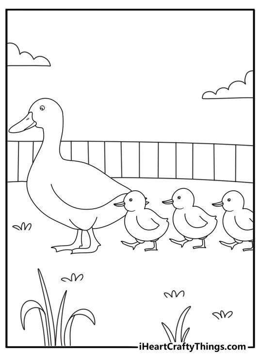 Ducklings following mother across yard simple coloring page pdf