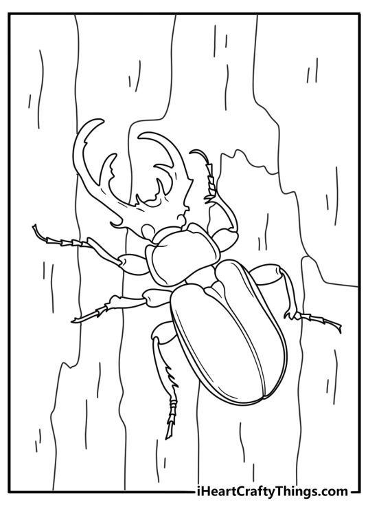 Easy coloring page featuring stag beetle with large mandibles on tree bark