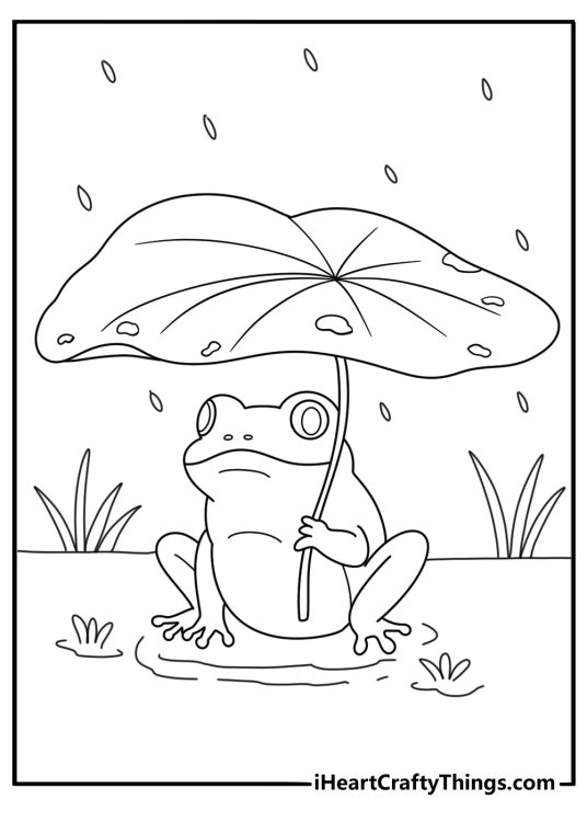 Easy frog coloring page with a frog under a large umbrella leaf