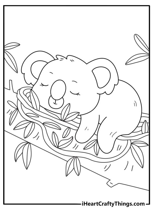 Easy koala coloring page with small koala sleeping in leaf nest