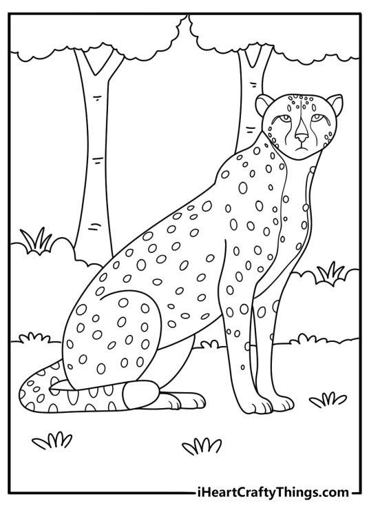 Easy leopard coloring page with big cat stretching on forest path