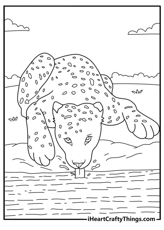 Easy printable showing leopard drinking water at savanna pond