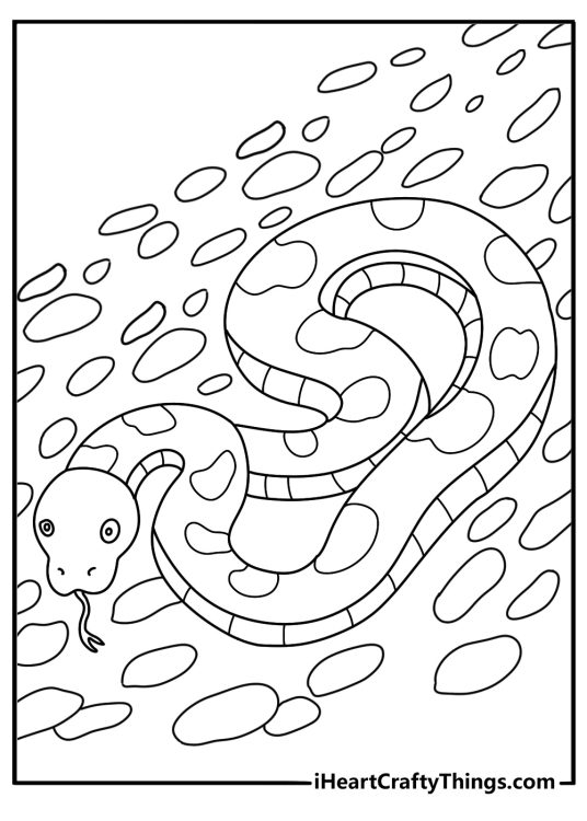 Easy reptile coloring sheet with a snake tongue and smooth pebbles