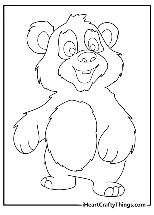 Forest animals coloring page presenting cute fluffy bear with clear background behind him