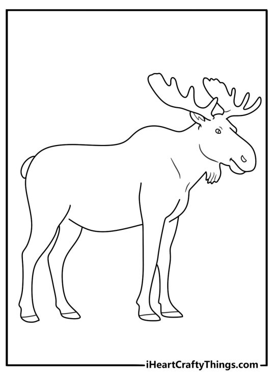 Forest animals coloring sheet featuring moose drawn in a simple style with clear background behind him