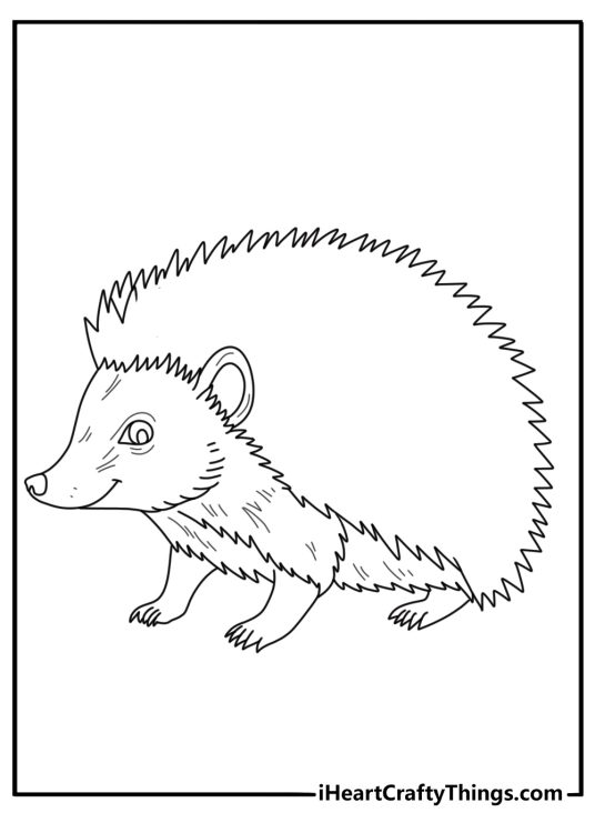 Forest animals printable for kids featuring little realistic hedgehog with blank background