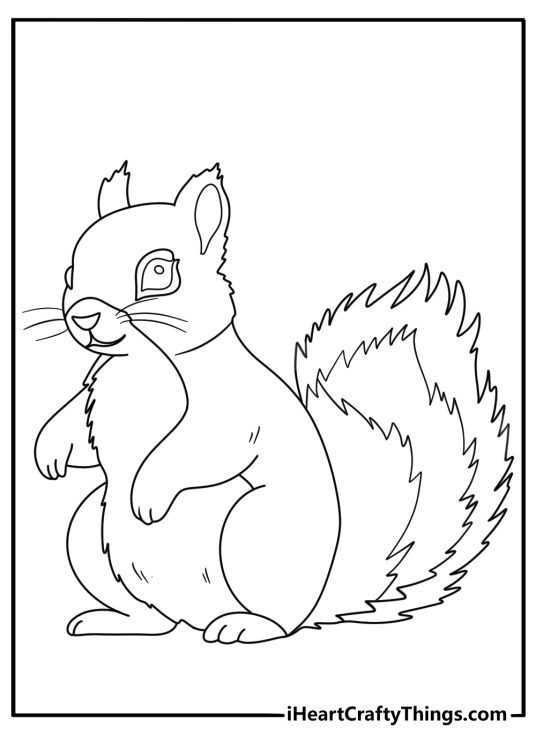 Forest animals printable picture presenting adorable fluffy squirrel with blank background