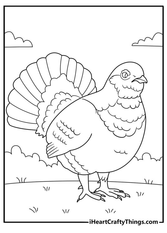 Forest grouse with spread tail adults coloring page pdf