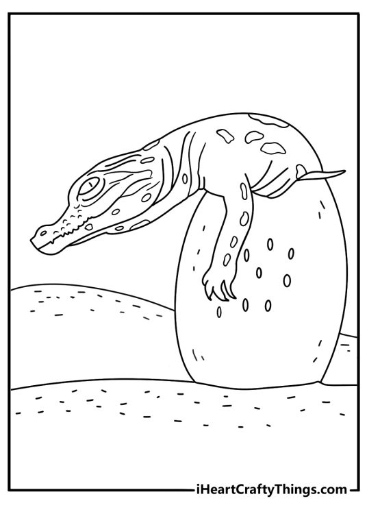 Free alligator coloring sheet printable with a baby alligator hatching from an egg