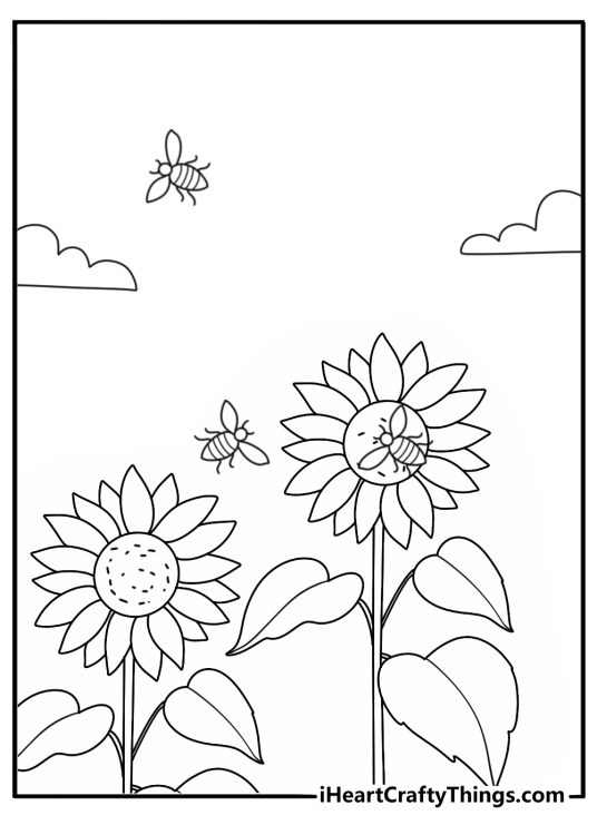 Free bee coloring page with a honey bee gathering pollen from a sunflower