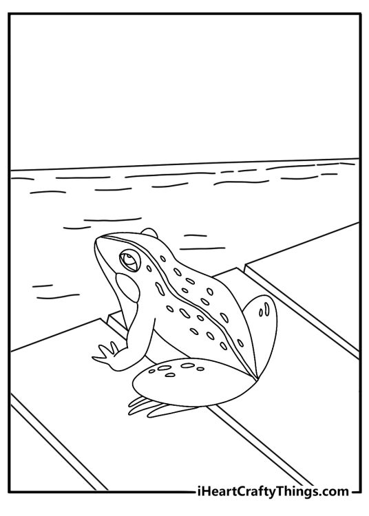 Free frog coloring pages printable with a frog on a wooden dock near water