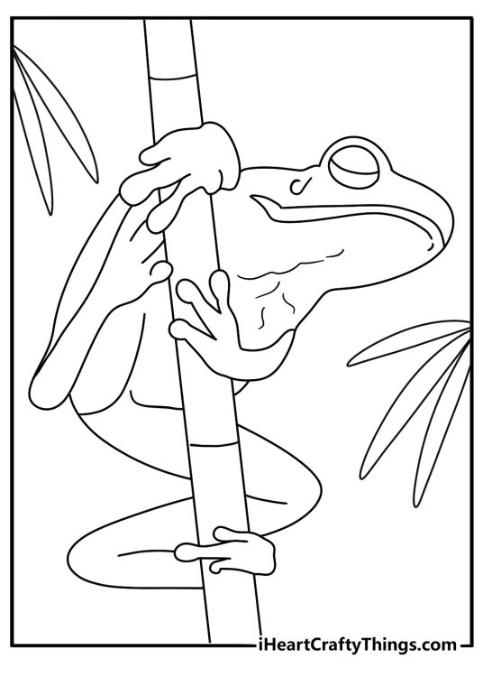 Free frog printable of a tree frog clinging to bamboo stems