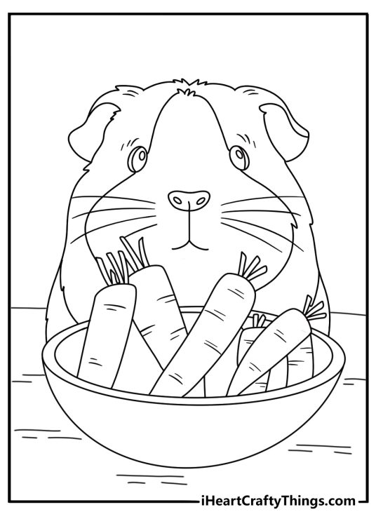 Free guinea pig printable featuring a carrot near a food bowl