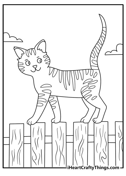 Free kitten coloring page showing a small cat walking across a garden wall