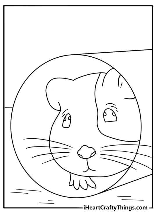 Free pet printable with a guinea pig looking through a paper tube