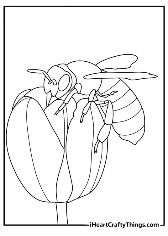 Free printable bee coloring pages scene with a bee drinking nectar from a tulip