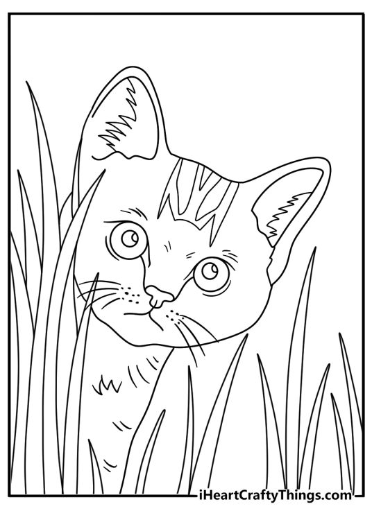 Free printable cat sheet showing a kitten peeking through tall grass