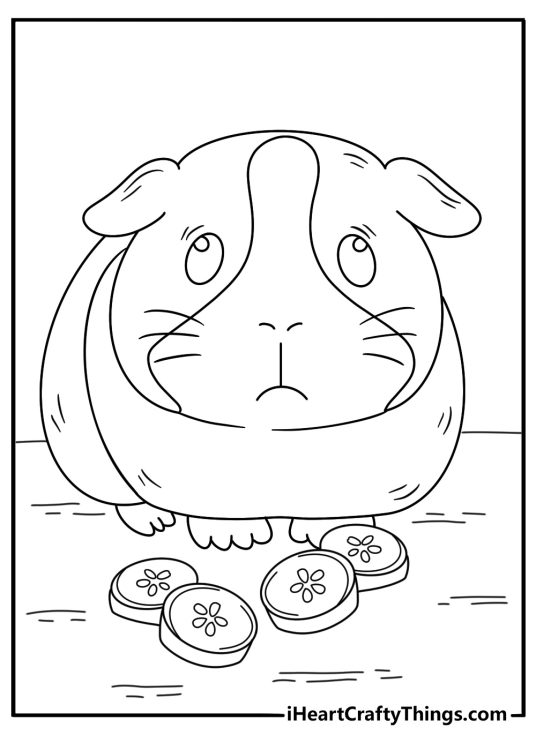 Free printable guinea pig sheet showing a pet beside cucumber slices