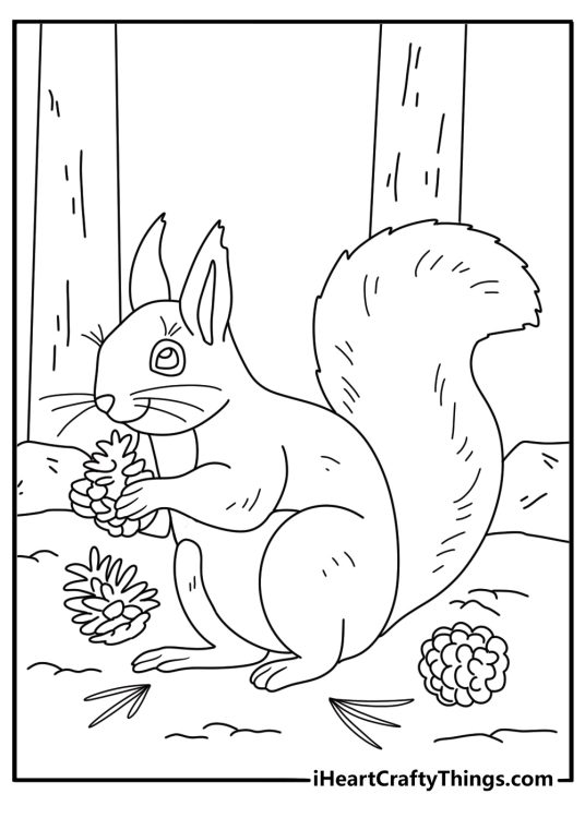 Free printable of a winter squirrel near pine needles and fallen cones