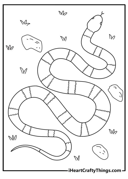Free printable snake sheet showing a milk snake crossing a forest trail