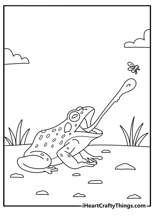 Frog coloring page with a frog catching a fly with its long tongue