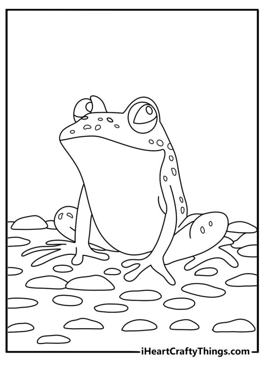 Frog coloring page with a frog emerging from shallow water near pebbles