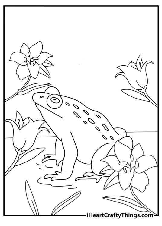 Frog coloring pages for adults with a frog surrounded by lily flower patterns