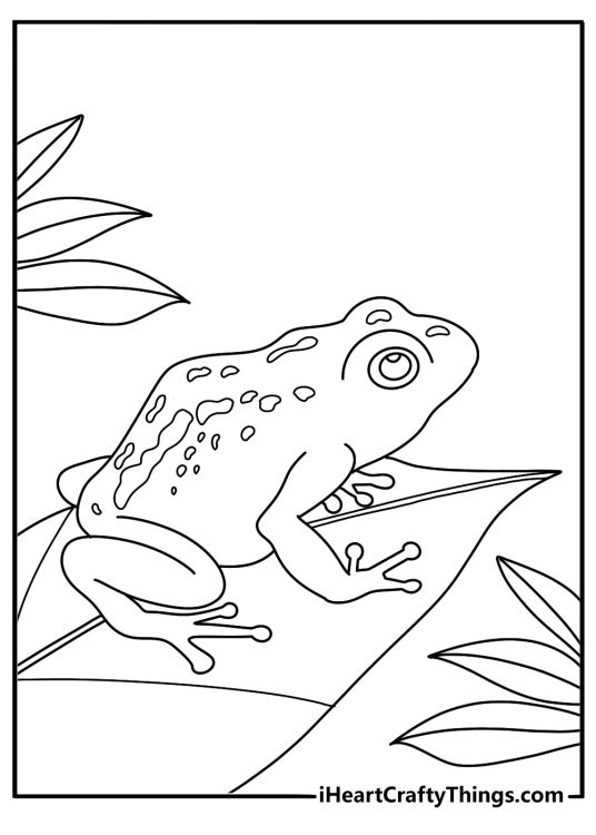 Frog coloring printable with a poison dart frog on jungle leaves