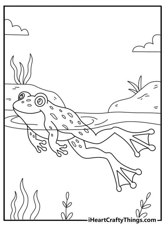 Frog coloring sheet with a frog swimming under pond reeds