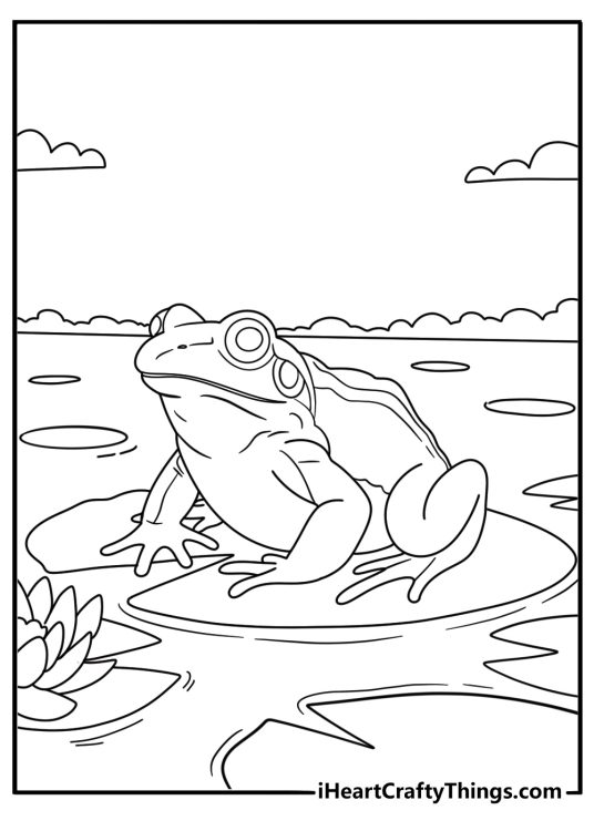 Frog on forest pond lily easy coloring sheet for preschool
