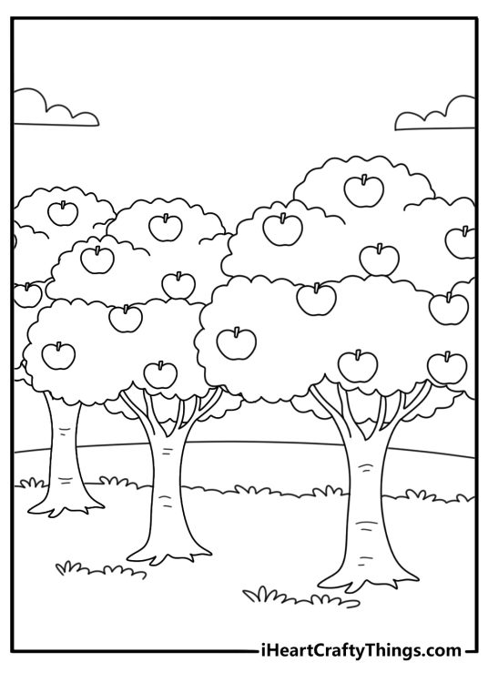 Fruit coloring page with orchard scene and fruit trees