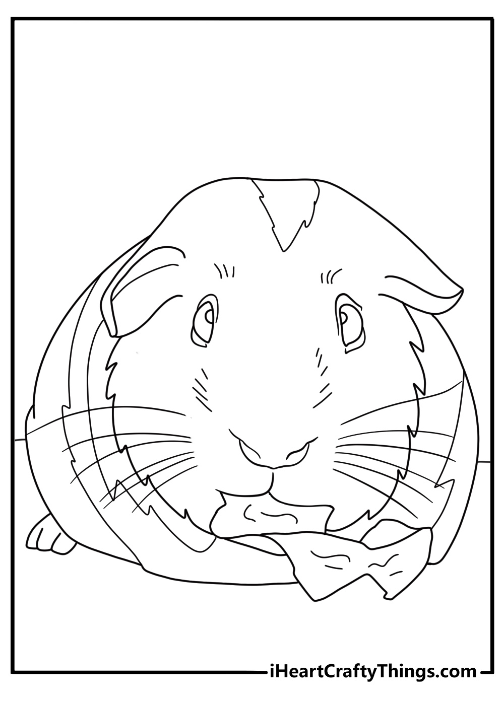 Guinea Pig coloring page for kids showing a pet near a lettuce leaf