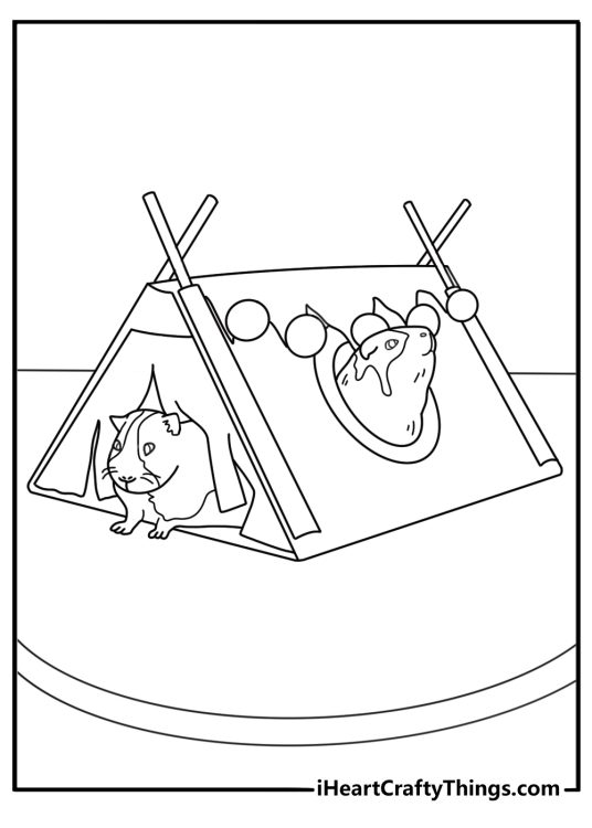 Guinea Pig coloring pages printable with a guinea pig beside a tiny tent