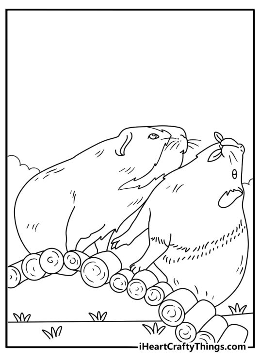 Guinea Pig coloring pages scene featuring two pets near a small bridge