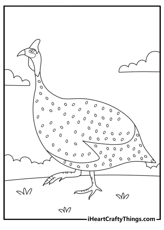 Guinea fowl walking along garden path printable coloring page