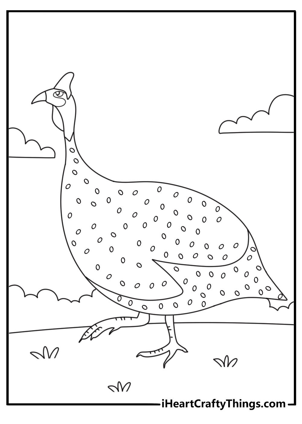 Guinea fowl walking along garden path printable coloring page