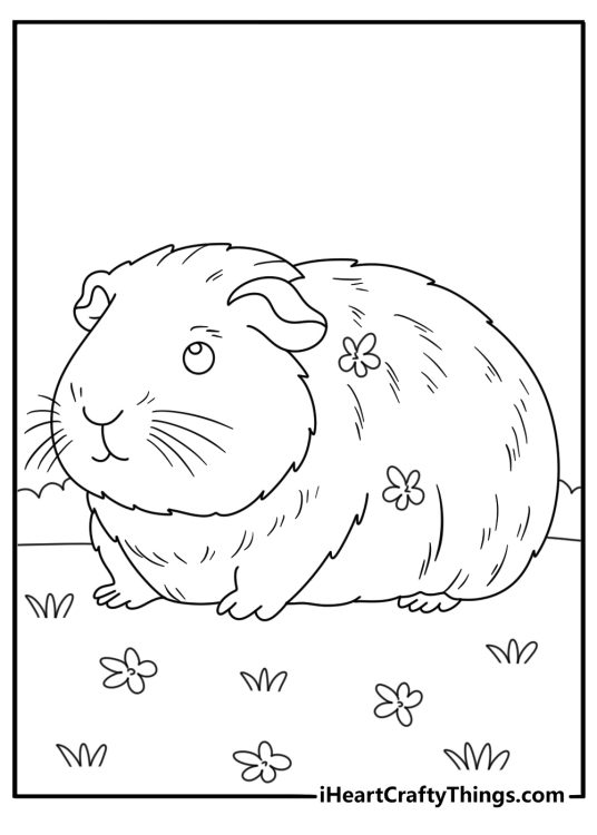 Guinea pigs coloring printable featuring very stylish cartoony guinea pig with a flower tucked into its fur