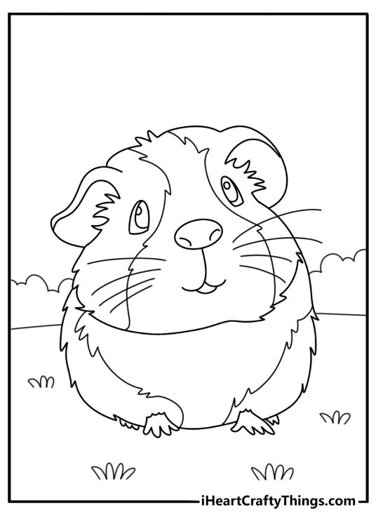 Guinea pigs coloring sheet featuring an adorable little critter with a cute expression on its face